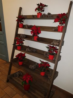 24177222 825773747584317 1889092201107402010 N